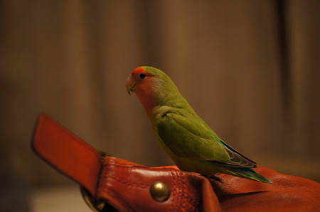 DSC01108
