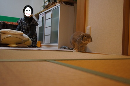 たたみ1