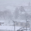 Photos: 雪に埋もれる吹雪01-12.01.14